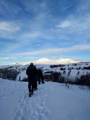 15078645_10154175482691733_7214102374543570507_n