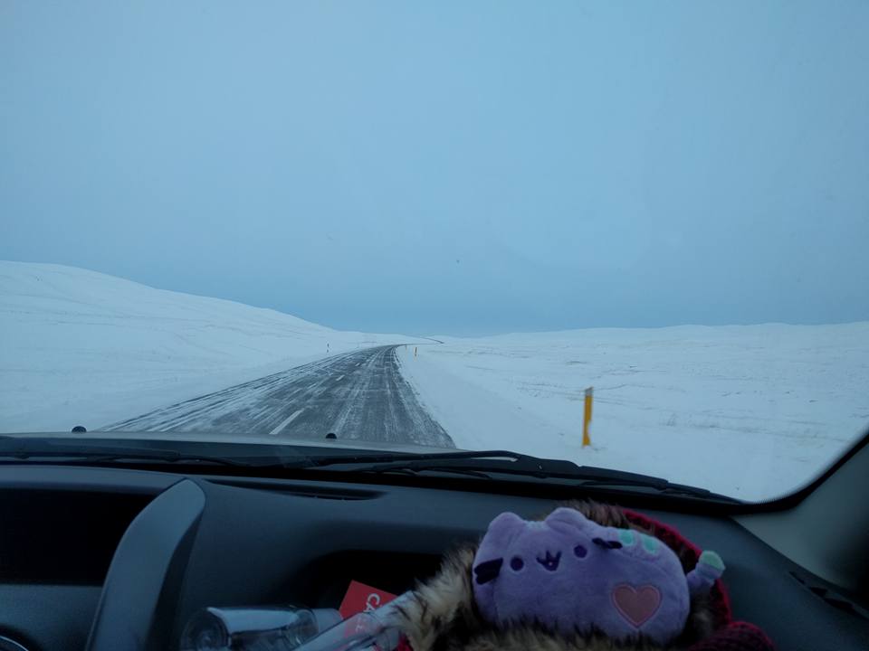 15134648_10154183267211733_4062909250333499868_n