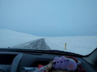 15134648_10154183267211733_4062909250333499868_n