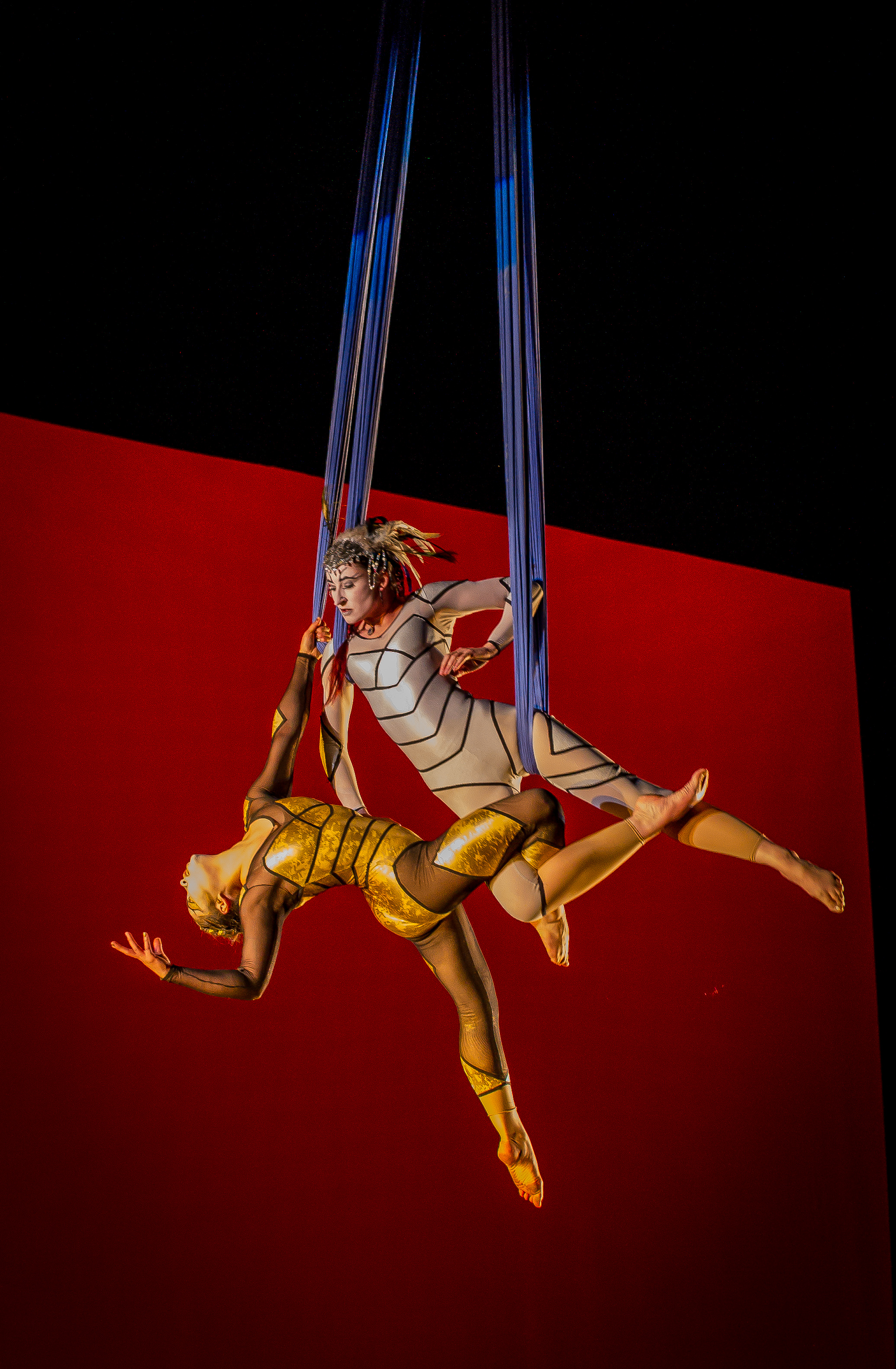 David Rose Photography from 2014 TEWAZ-2